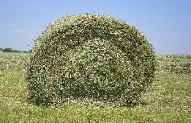 Close up of round bale